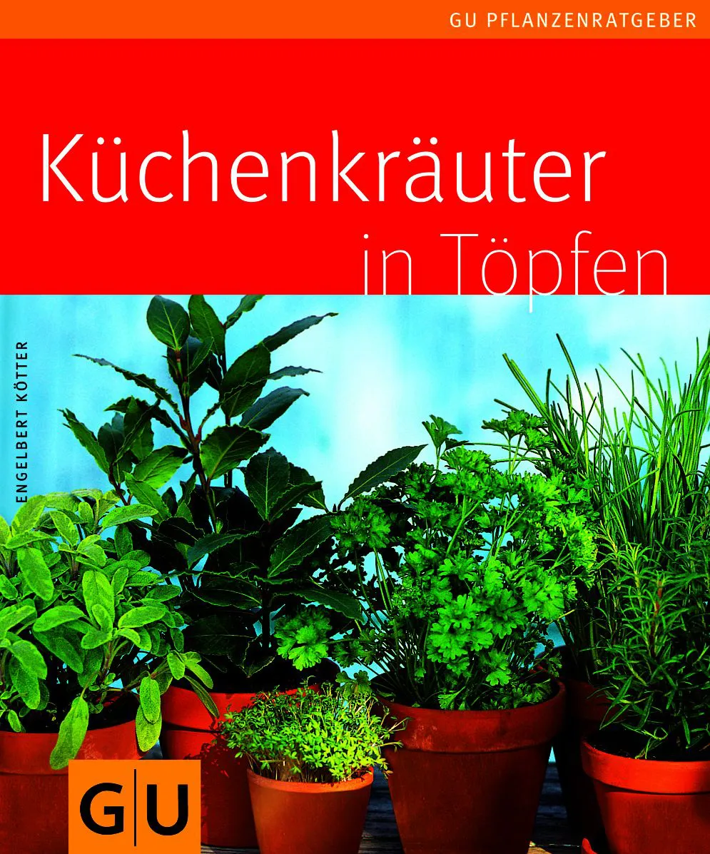 Küchenkräuter in Töpfen - Engelbert Kötter – Bild 1