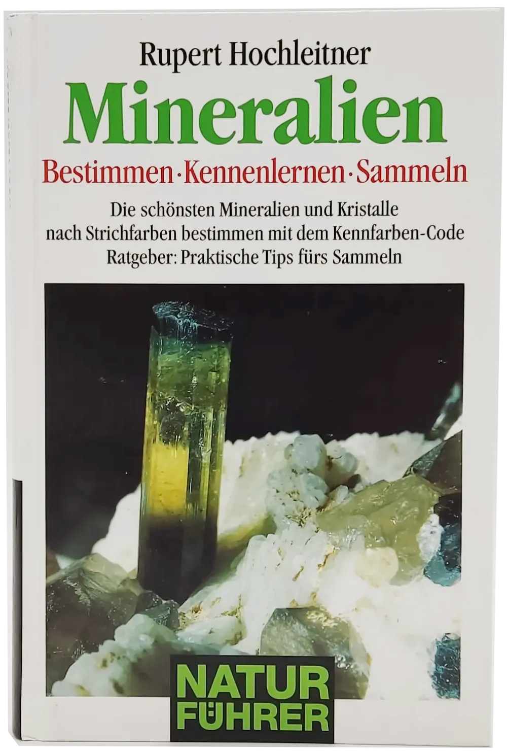 Buch 