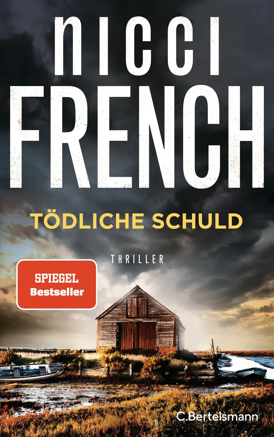 Tödliche Schuld - Nicci French - Bild 1