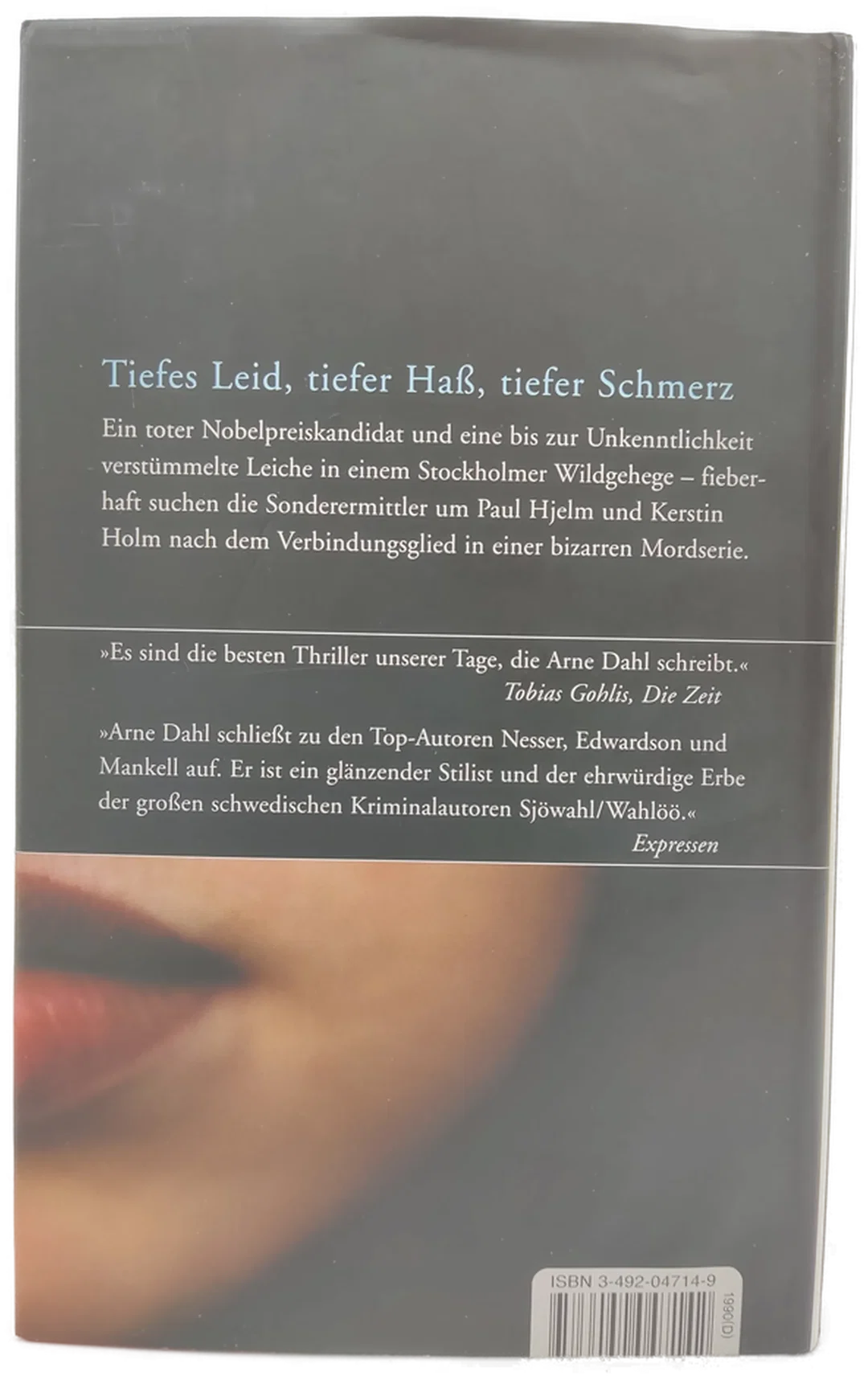 Tiefer Schmerz - Arne Dahl – Bild 2