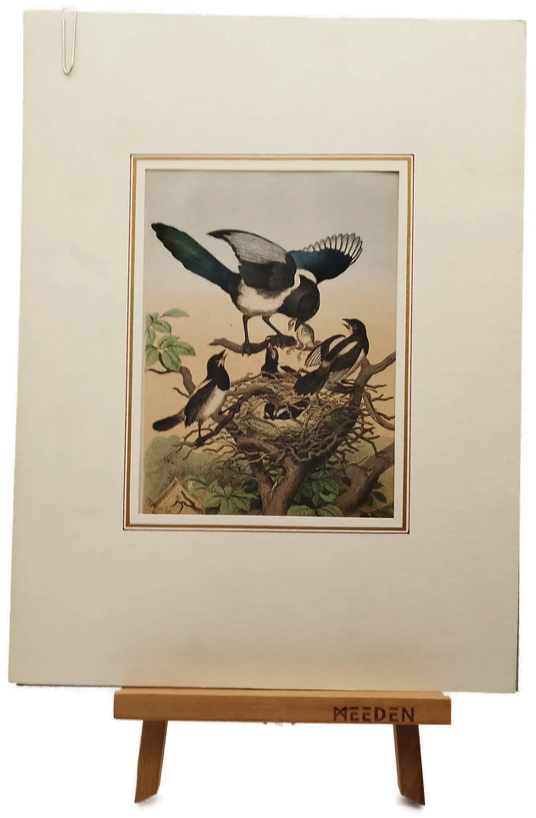 Bild einer Elster-Familie mit Passepartout - Art Anst. v. E. Hochdanz Stuttg. / 1869 - Bild 1