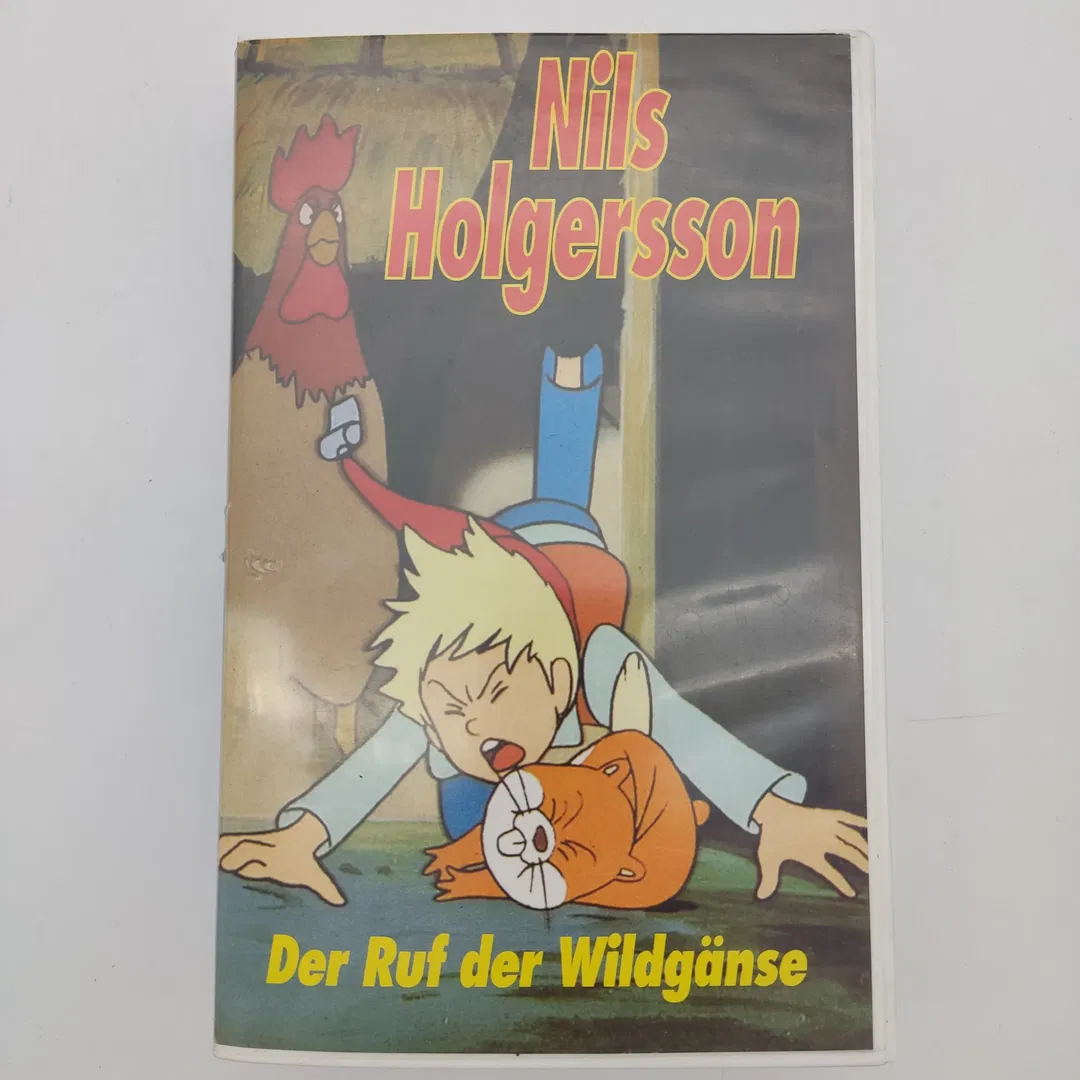 Nils Holgersson - Der Ruf der Wildgänse - Bild 1