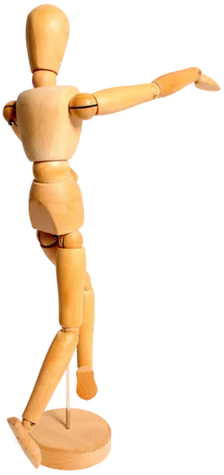  2 Stk. Holz-Gliederpuppen ca. 35 cm | Künstlerpuppen | Bewegliche Gelenke - Bild 2