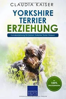 Yorkshire Terrier Erziehung - Claudia Kaiser - Bild 2