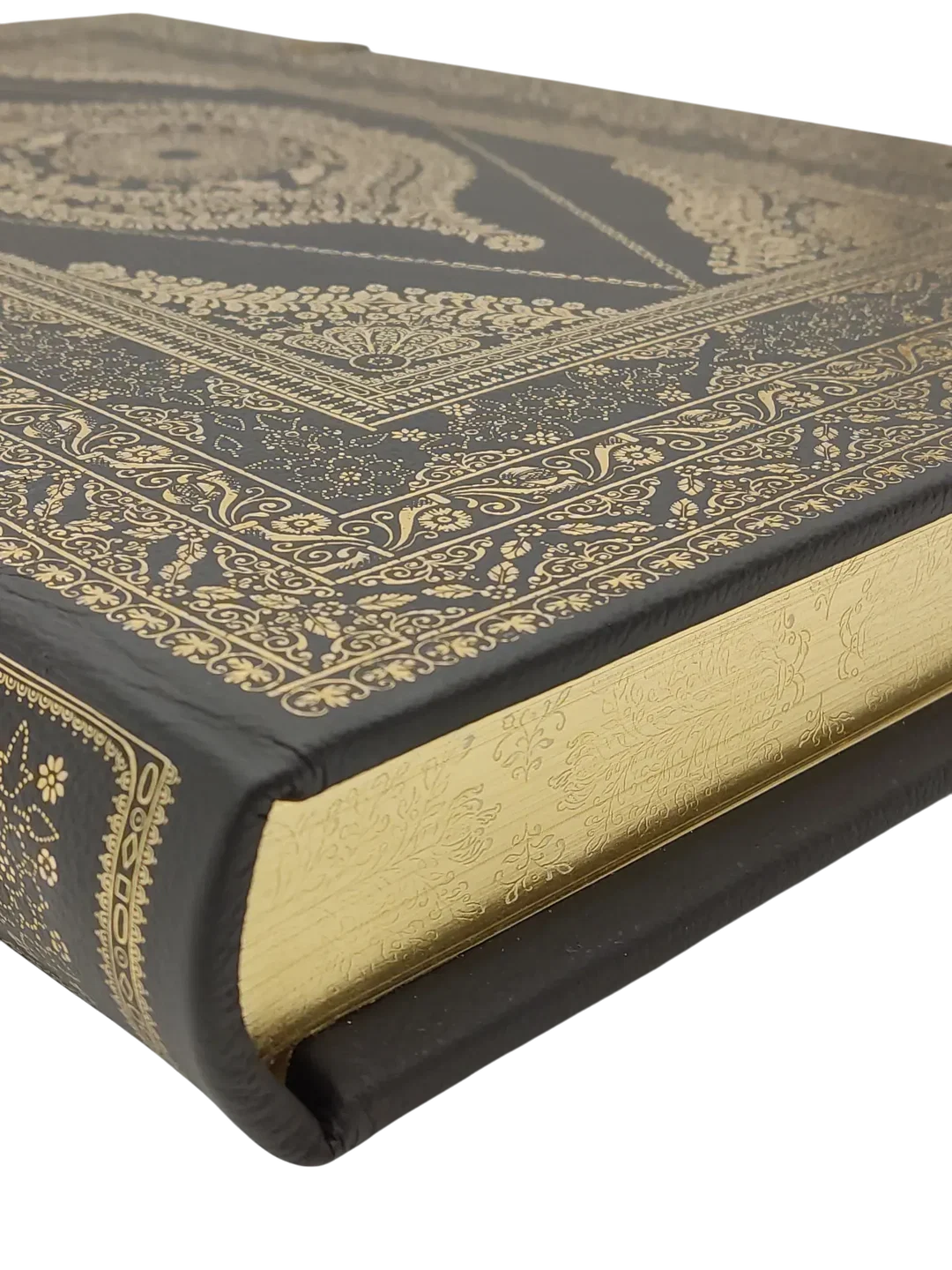 Prunkschrift - Biblia 1630 - die ganze heilige Schrift durch Dr. Martin Luther verdeutscht - Faksimile – Bild 8