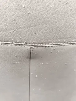 8 Stück Rolf Benz Stühle Leder - Bild 9