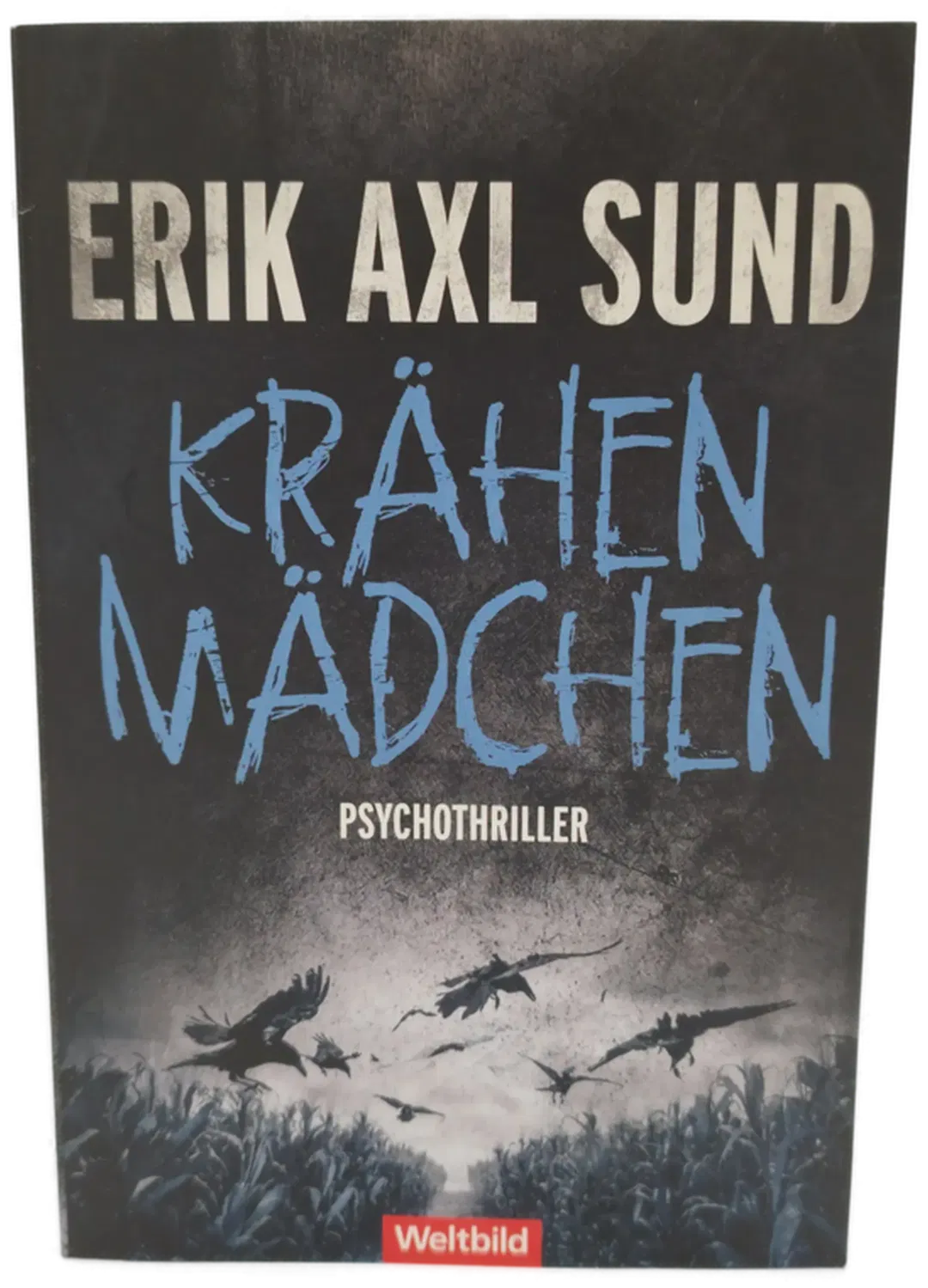 Taschenbuch Viktoria Bergman-Trilogie Erik Axl Sund | Skandi-Thrill - Bild 2