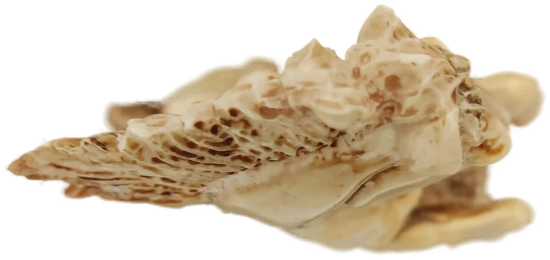 Pferde Skulptur Guss auf alt gemacht – Bild 8