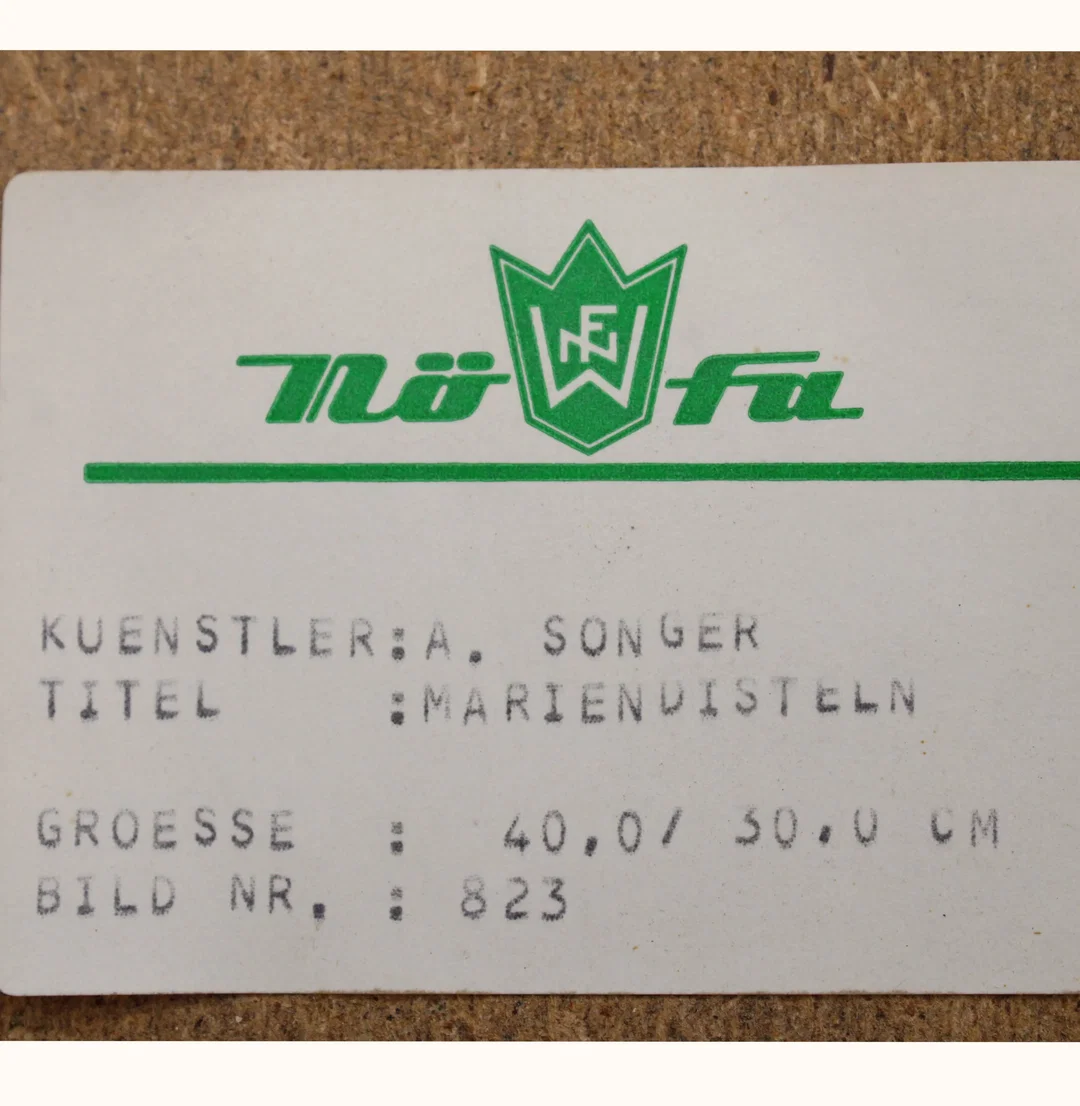 Vintage Blumenbild „Mariendisteln“ – A. Songer | Oktagon Holzrahmen – Bild 3