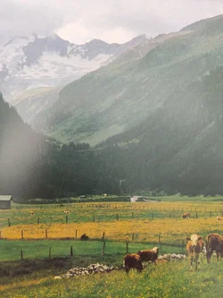 Wanderungen in Gebirgstälern: Tirol - 50 Touren zwischen Arlberg und Großlockner | Routen & Tipps – Vorschau 10