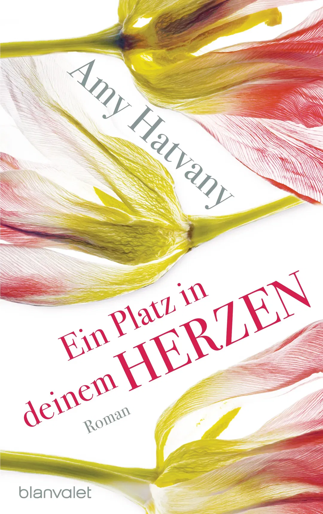 Ein Platz in deinem Herzen - Amy Hatvany - Bild 1