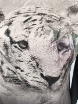 Tom Tailor Damen Langarm-Shirt Gr. S - Bild 3