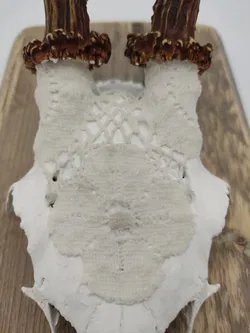 Krickerl mit Spitzen - Bild 2