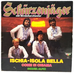 LP Schürzenjäger Mit Streichorchester | 80er-Original - Bild 1