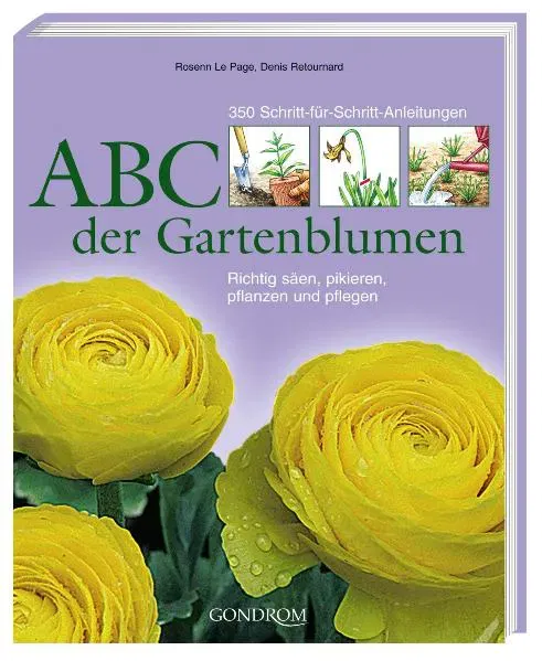 ABC der Gartenblumen - Bild 2
