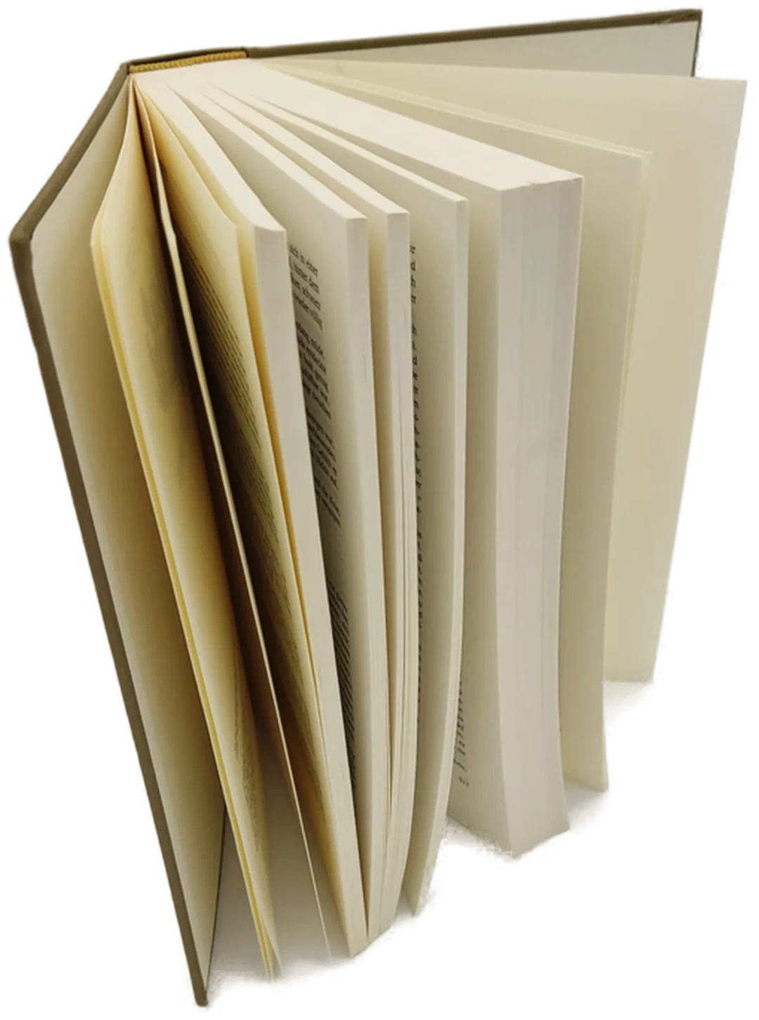 Buch "Die Bucht" - James A. Michener  – Bild 2