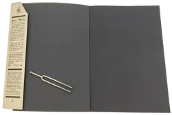 Buch/Bildband Michelangelo 