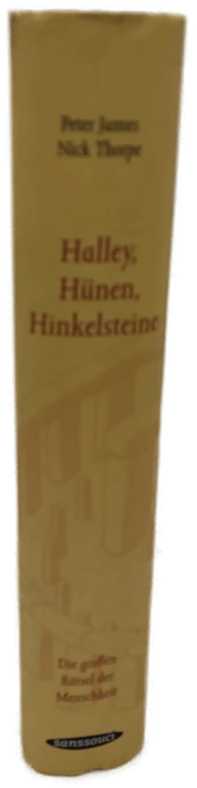 Buch "Halley, Hünen, Hinkelsteine" Die großen Rätsel der Menschheit von Petter James und Nick Thorpe – Bild 2