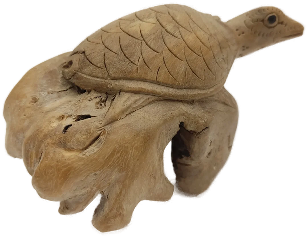 Schildkrötenfigur aus Wurzelholz | Handgeschnizte Glücksbringer – Bild 5