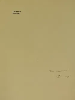 Drago Persic - Christoph Doswald, Sabine Folie, Synne Genzmer, Jasper Sharp - Bild 2