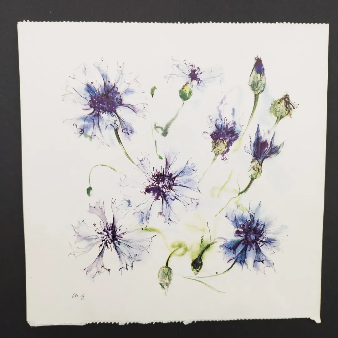 Ellen Gibbis: Blumenmalerei - KOPIE - Bild 1