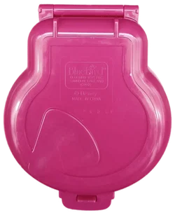 Bluebird Polly Pocket 