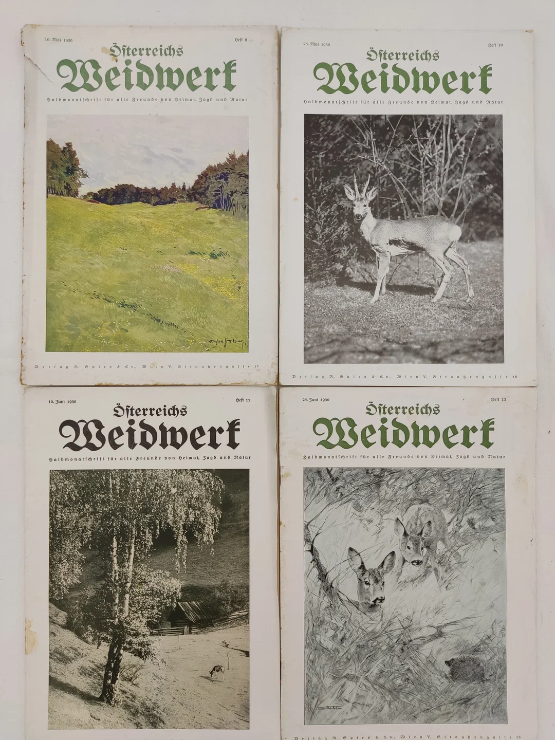 Österreichs Weidwerk - 18 Hefte - Jagdmagazin 1930 – Bild 3