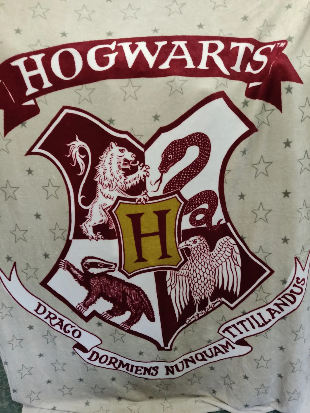 Harry Potter Wohn / Kuscheldecke mit Hogwarts-Schulwappen, Größe ca. 220x150cm – Bild 3