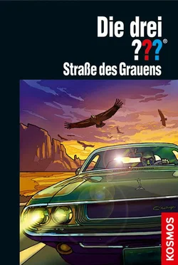 Die drei ??? Straße des Grauens - Kari Erlhoff - Bild 1