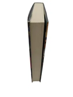 Vorarlberg Chronik – 2. Auflage 2000 - Bild 3