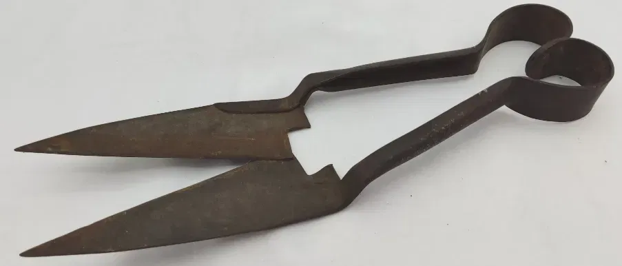 Antike Schafschere - Bild 4