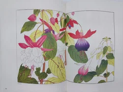 The Plants of 1917 – Vol.3 Summer 1 - Bild 4