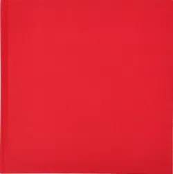 Sport im 21. Jahrhundert - REUTERS - Bild 3