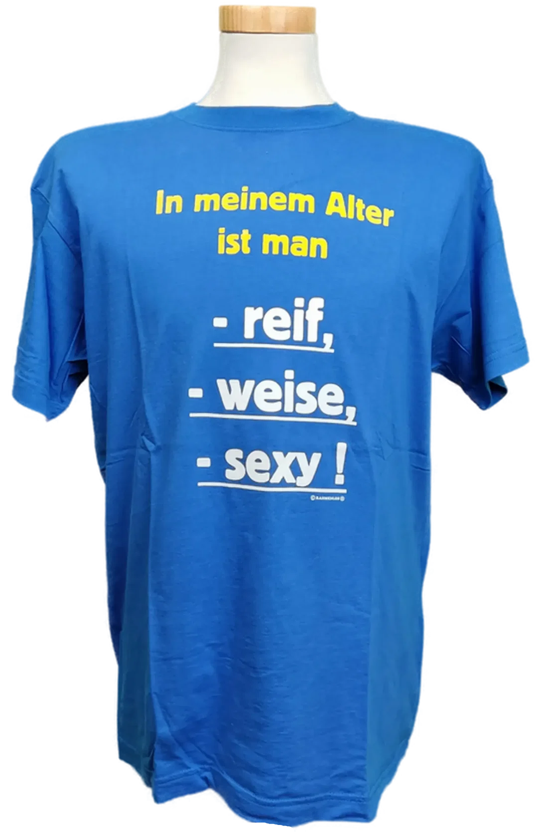 Sprüche Herrenshirt blau Gr. L – Bild 1