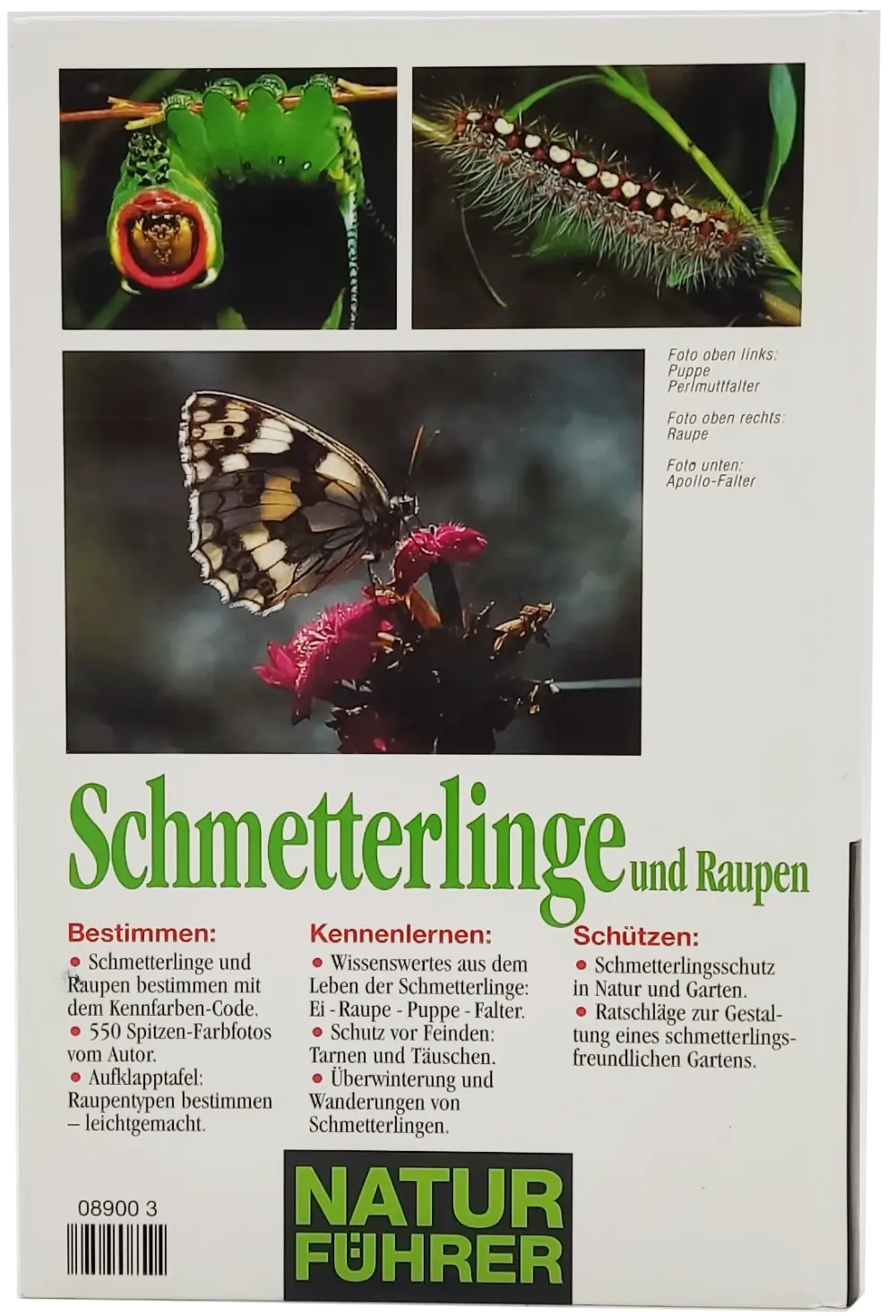 Buch "Schmetterlinge und Raupen" von Thomas Ruckstuhl – Bild 2