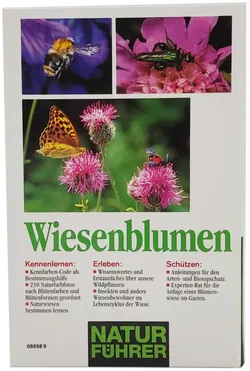 Buch 