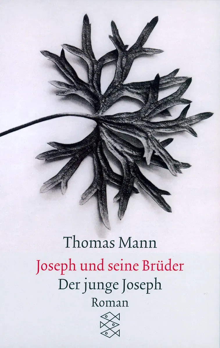 Joseph und seine Brüder II. Der junge Joseph - Thomas Mann - Bild 2