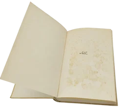 Die hundert Tage - Joseph Roth - Bild 3