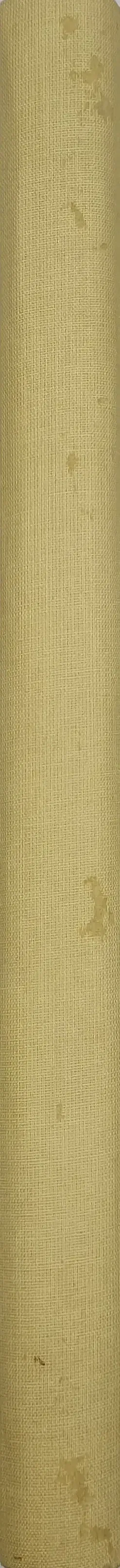 Sang und Klang im XIX / XX Jahrhundert : Ernstes und Heiteres aus dem Reiche der Töne - Bild 3