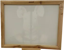 Bild Druck auf Leinwand Schweinekopf auf Körper von Markus Binz - Bild 2