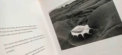 Edward Weston – Meisterwerke der Fotografie (Hardcover-Bildband) - Bild 2
