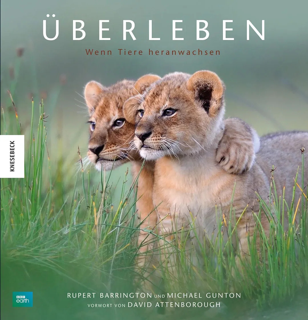 Überleben - Rupert Barrington,Tom Hugh-Jones,Michael Gunton,Miles Barton,Ian Gray - Bild 2