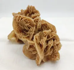 Wüstenrose Sandrose - Bild 2