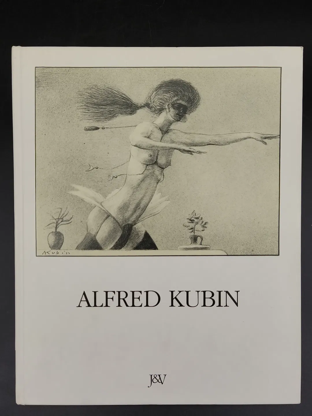Alfred Kubin, Leben ein Abgrund - Alfred Kubin,Klaus Albrecht Schröder - Bild 2