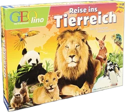 Bild