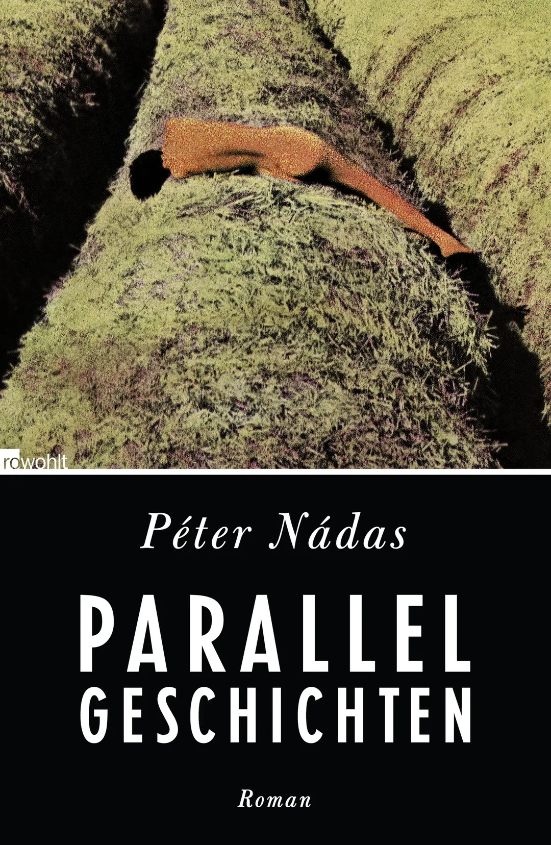 Parallelgeschichten - Péter Nádas - Bild 1