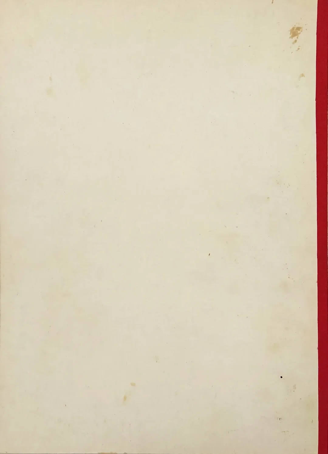 Kriki und ihre Kinder - Alexis Steiner, Illustration Willhelm Jaruska – Bild 2