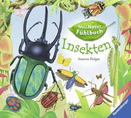 Insekten - Mein Natur Fühlbuch - Angelika Lenz - Bild 2