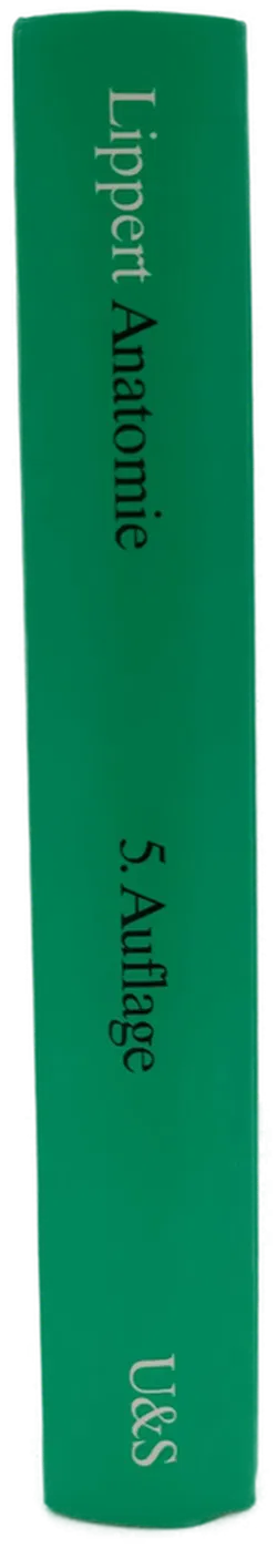 Anatomie - Herbert Lippert - Bild 3