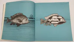 Buch Ver Sacrum 